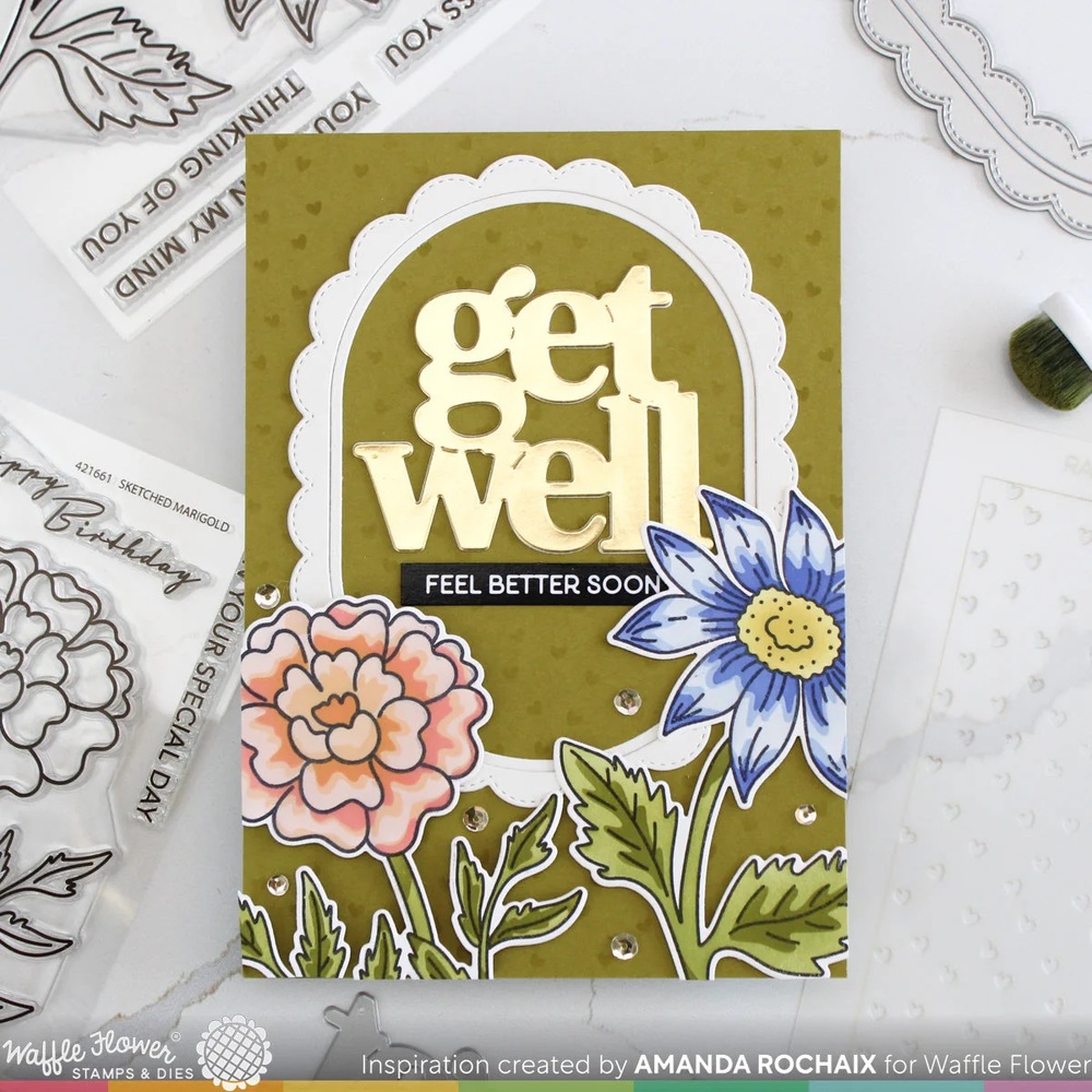 Waffle Flower Dies - Sketched Aster 421656