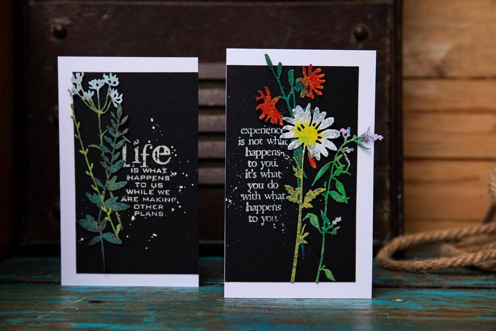 Sizzix Thinlits Dies 6/Pkg - Vault Wildflowers By Tim Holtz 666565