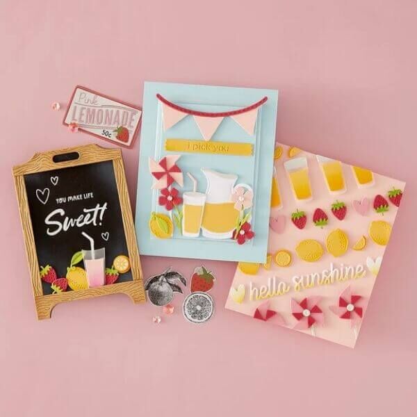 Spellbinders Clear Stamps & Die Set - Pink Lemonade (with Simple Stories) BD-1056