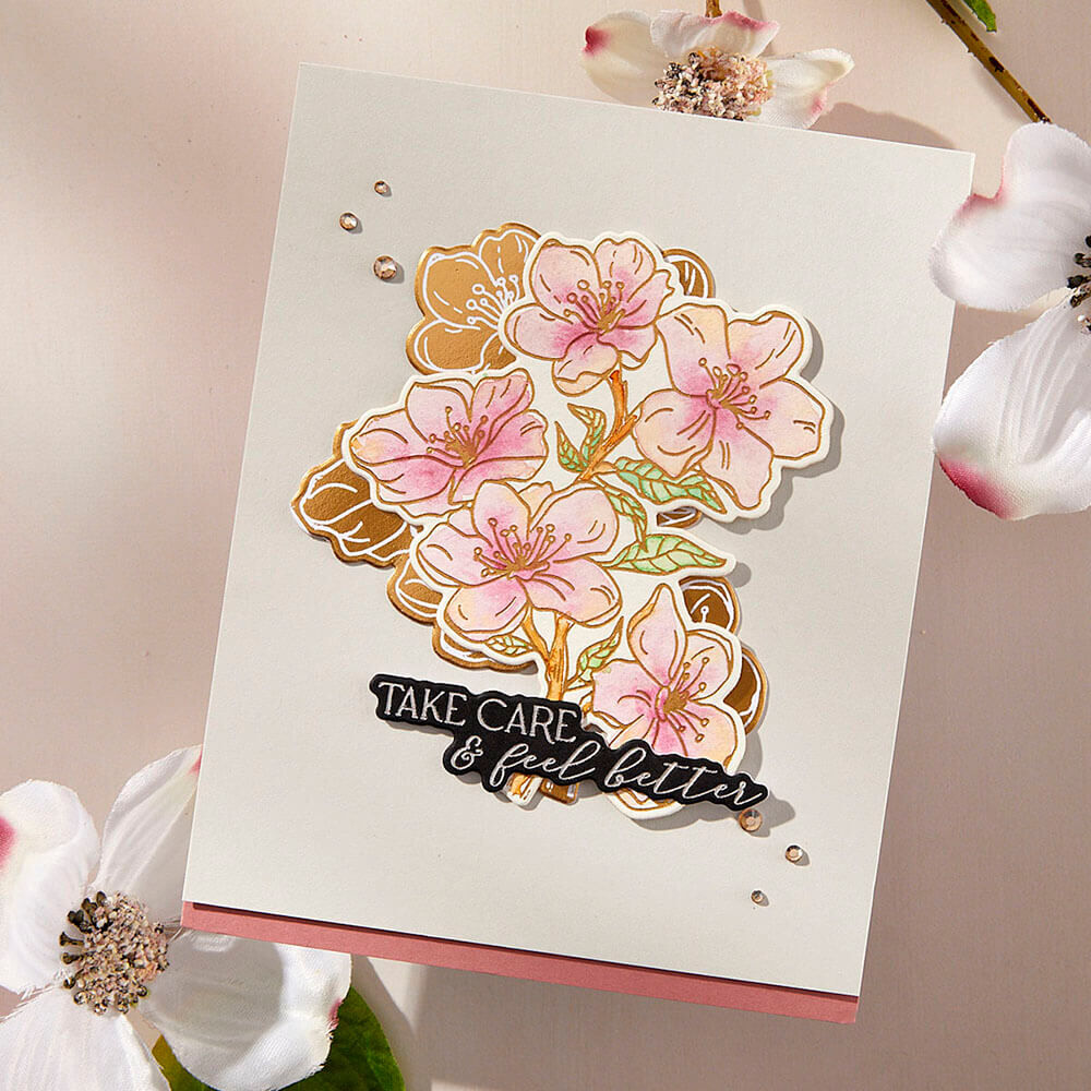 Spellbinders Press Plate & Die Set - Spring in Kyoto Collection - Cherry Blossoms (by Alex Syberia Designs) BP-290