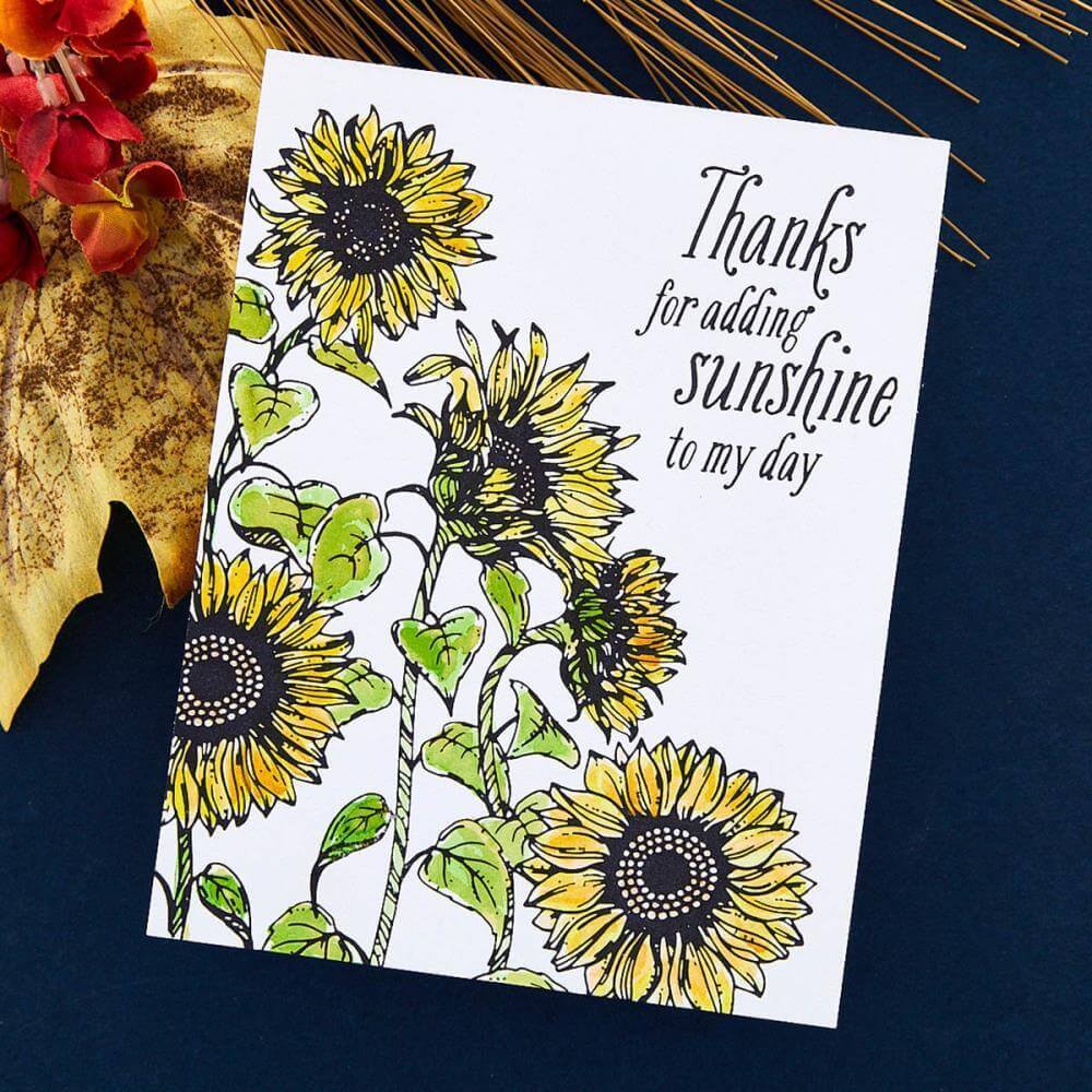 Spellbinders BetterPress Plate - Sunflower Field Press BP094