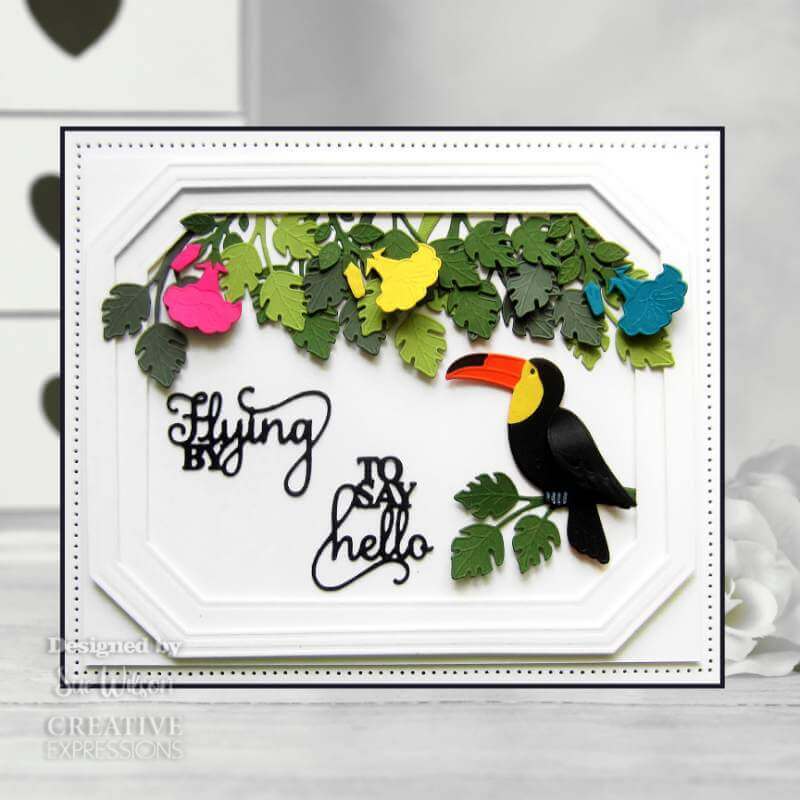 Creative Expressions Craft Dies - Necessities - Toucan (by Sue Wilson) CED23051