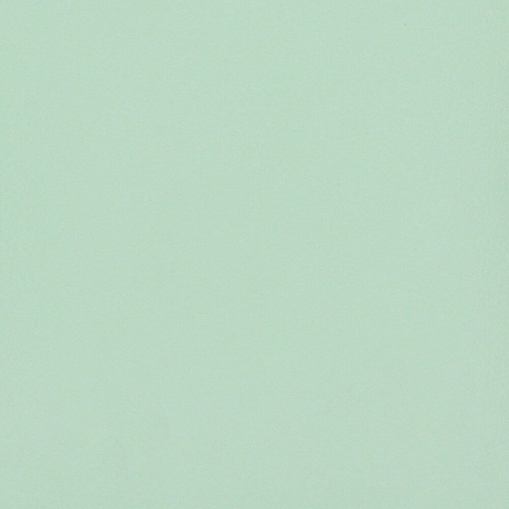Scrapbook Classic Superior Leather D-Ring Album - Powder Blue / Mint