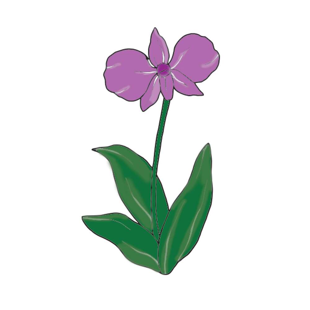 Lavender Spiroglyphics Coloring Book: Beautiful Purple Flower