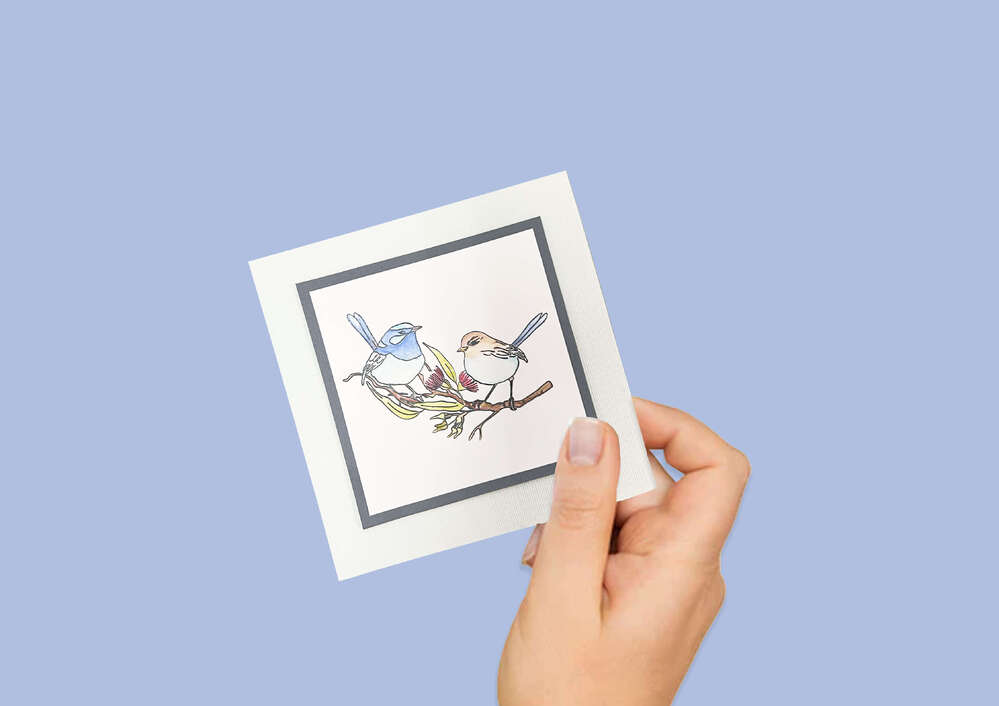 PREORDER - Couture Creations FAIRY WRENS Stamp - Australia The Lucky Country