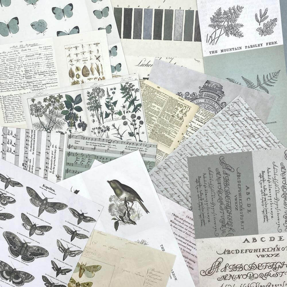 49 And Market Collage Sheets 6"X8" 40/Pkg - Color Swatch: Eucalyptus