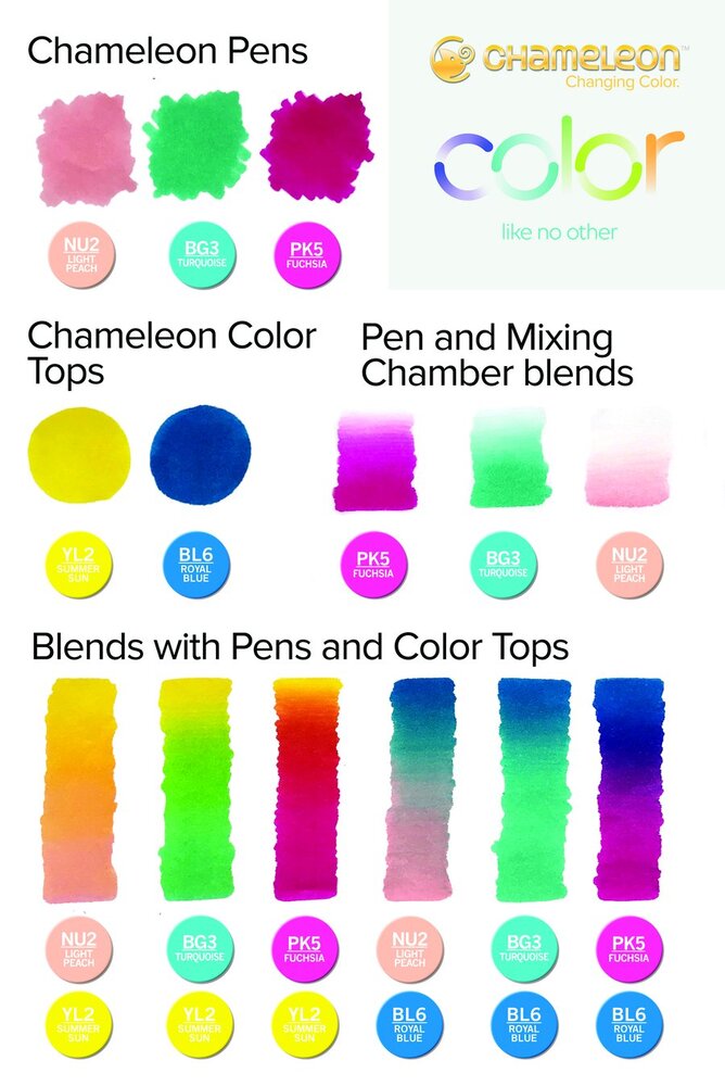 Chameleon Pens Introductory Set  CT1003UK(AU)