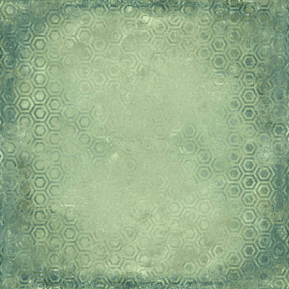 49 And Market Collection Pack 12"X12" - Botanical Buzz Solids