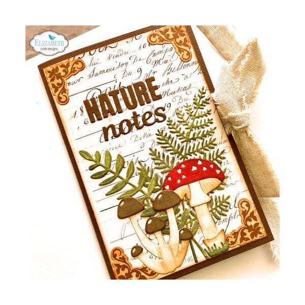 Elizabeth Craft Designs Dies - Everyday Words 2 EC2078