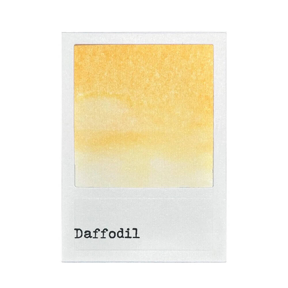 49 & Market Reinker - Daffodil