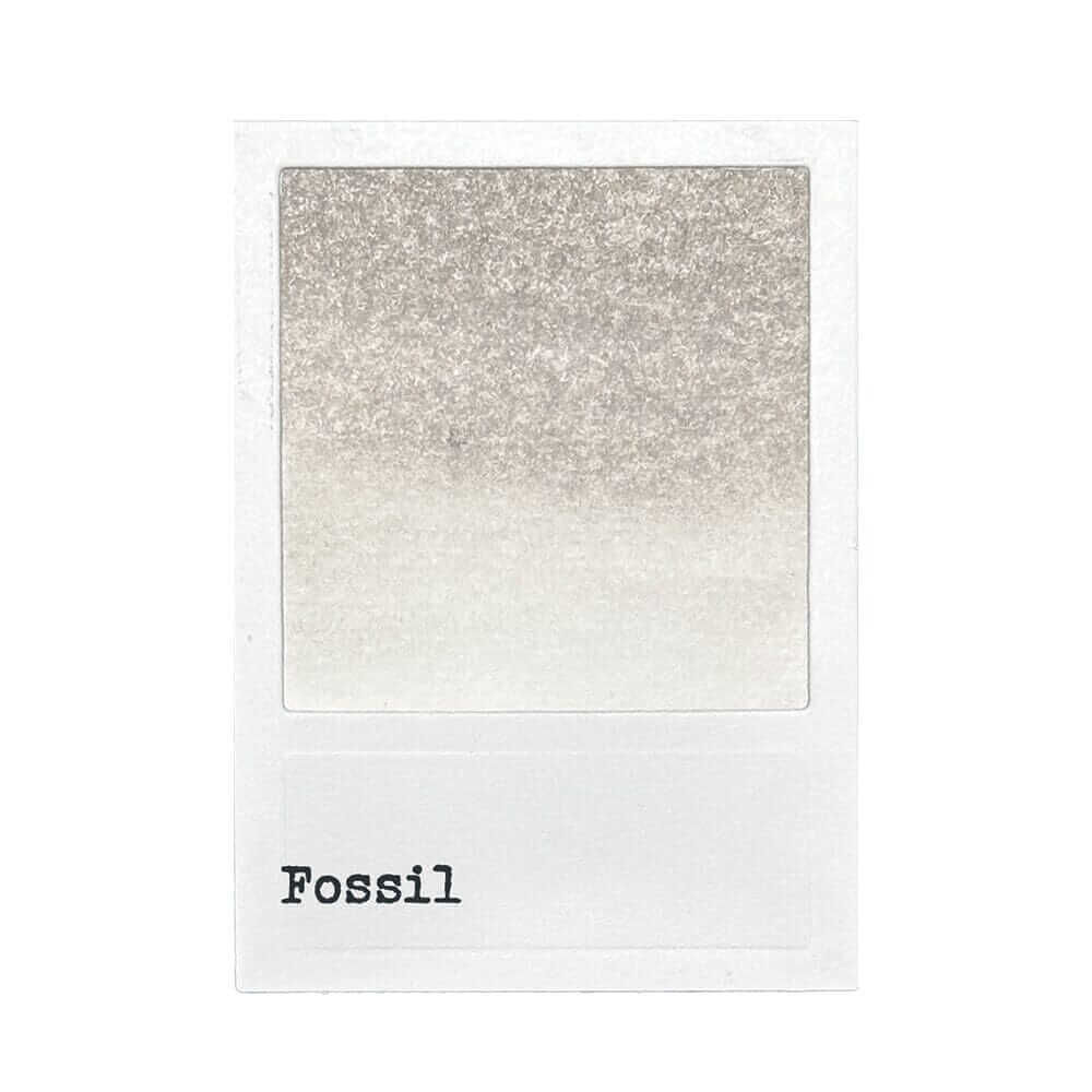 49 & Market Reinker - Fossil