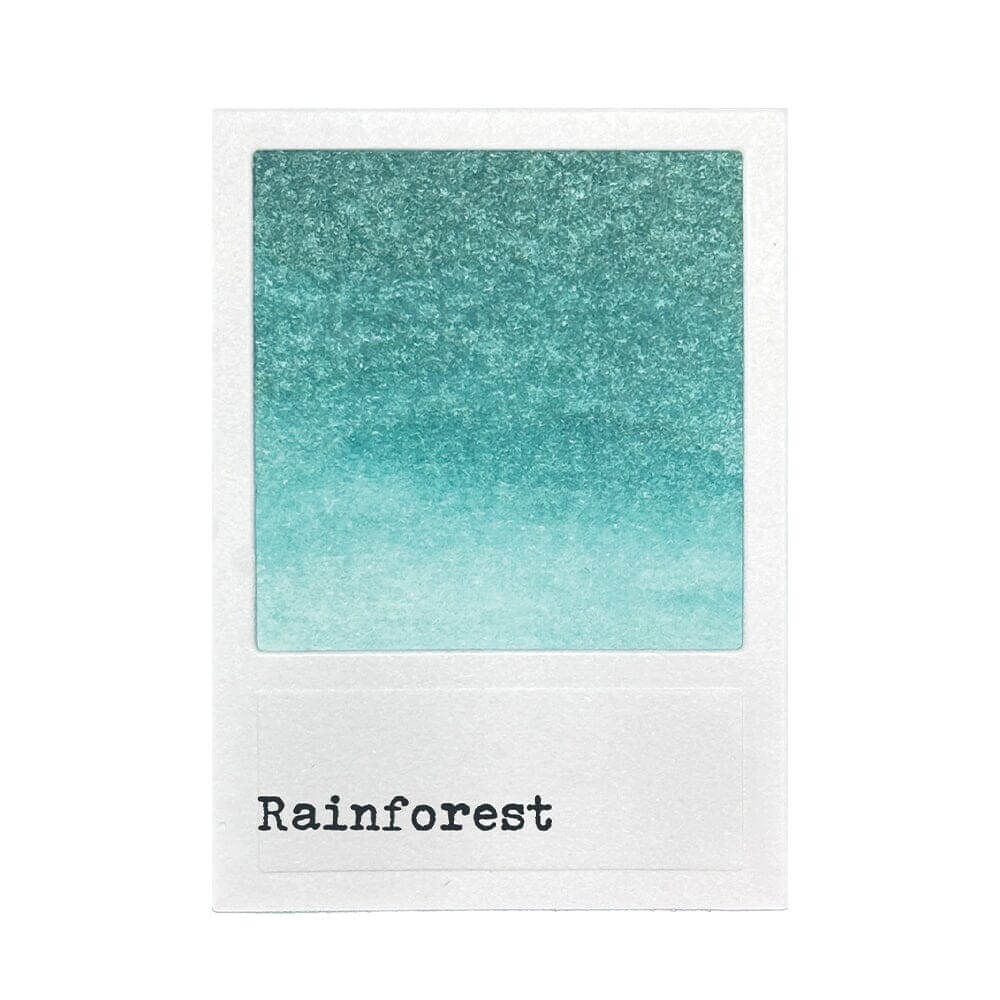 49 & Market Reinker - Rainforest