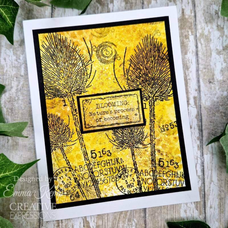 Woodware Clear Stamps - Discovery (4in x 6in)