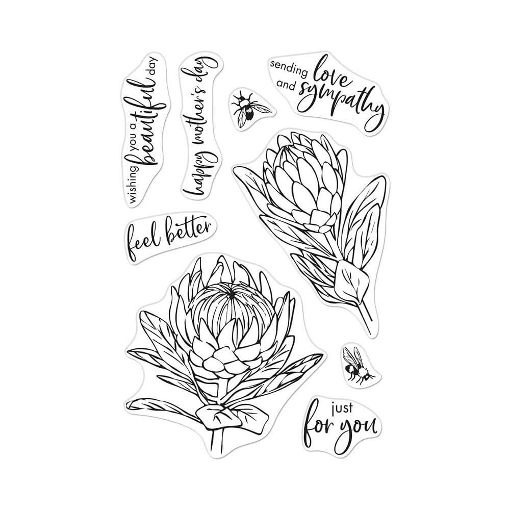 Hero Arts Clear Stamps 4"X6" - Protea Flowers HA-CM448