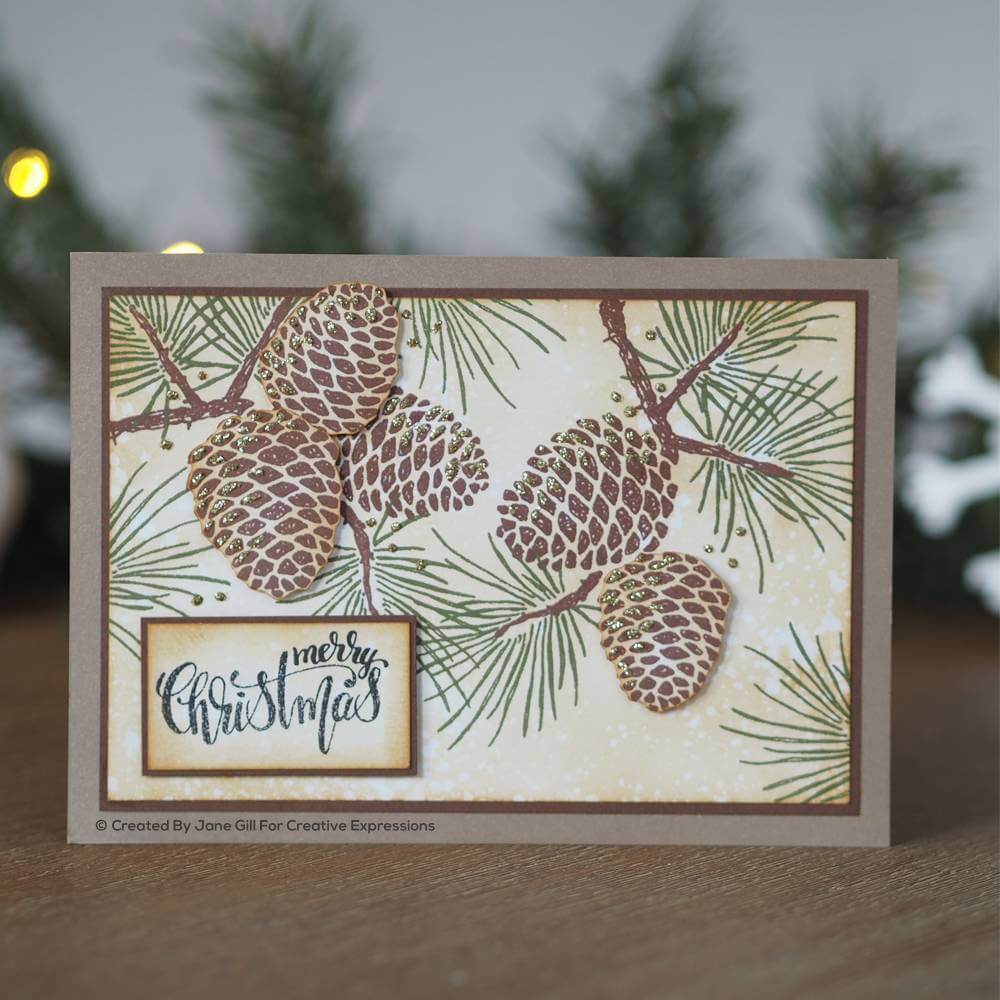 Woodware Clear Stamp Singles - Sketchy Pine Cones (4in x 6in)