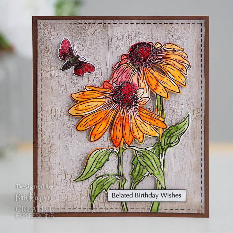 Woodware Clear Stamps 4"X6" - Echinacea & Moth