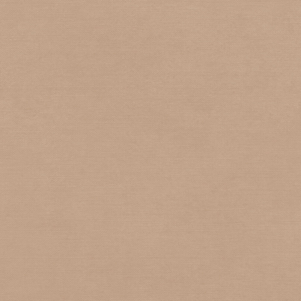 49 And Market Collection Pack Solids 12"X12" - Little Dreamer/Celebrations Solids