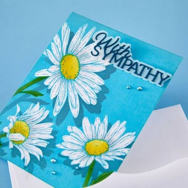 Spellbinders Etched Dies - Layered With Sympathy S1-187