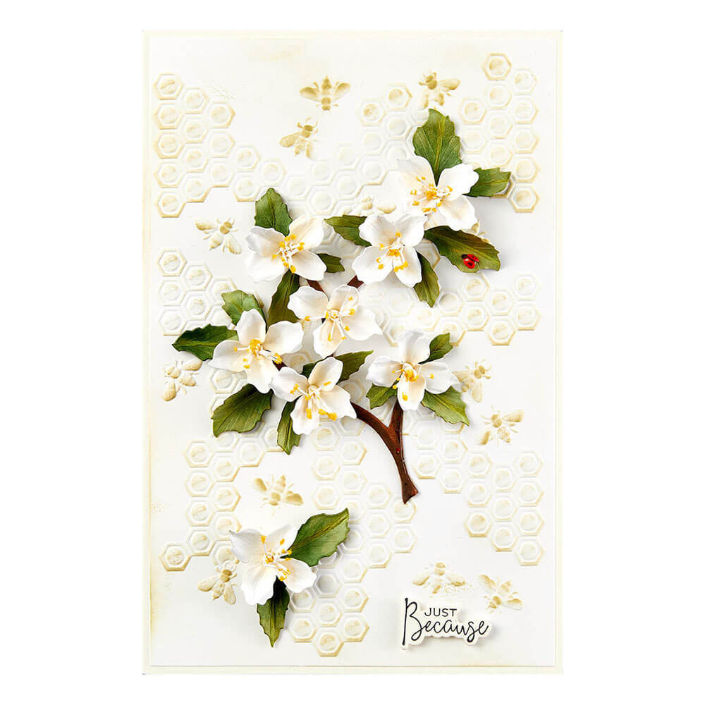 Spellbinders Etched Dies - Through the Arbor Garden Collection - Mock Orange (by Susan Tierney-Cockburn) S3-496