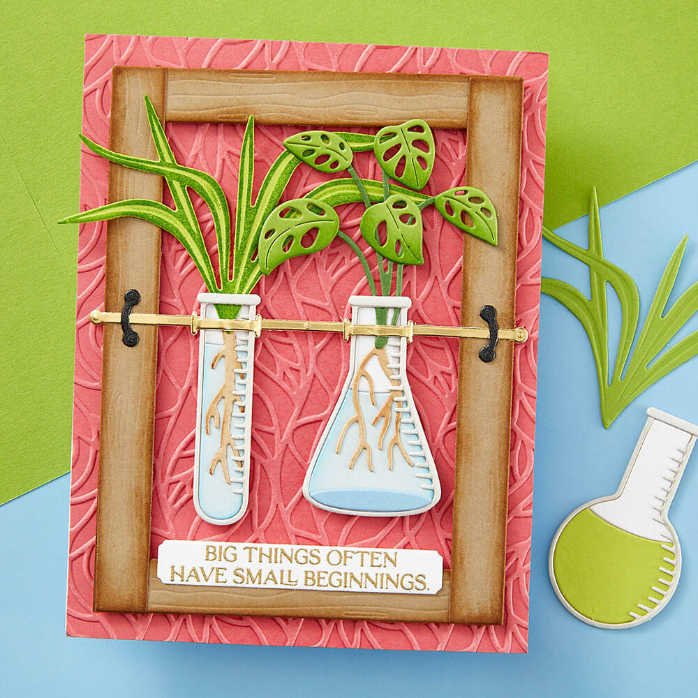 Spellbinders Etched Dies - Propagation Garden Collection - Propagation Garden Frames By Annie Williams