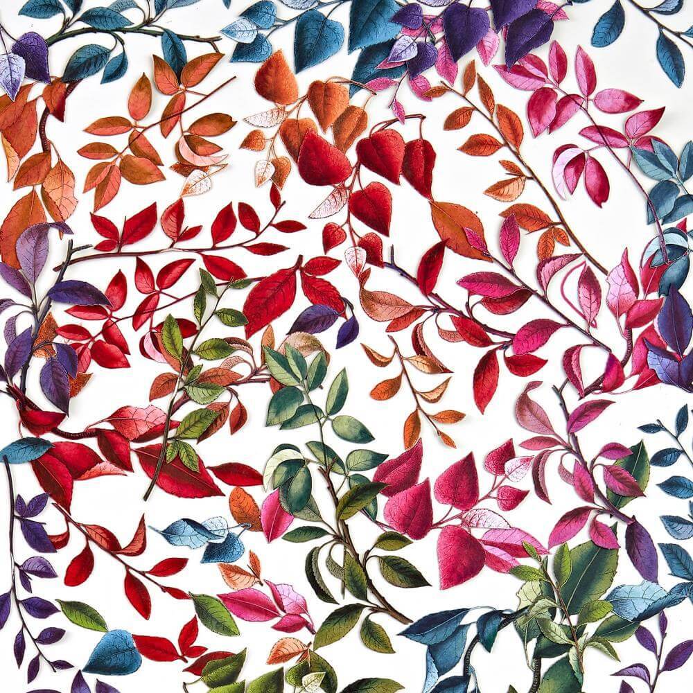 49 and Market Spectrum Gardenia Laser Cut Outs - Leaves