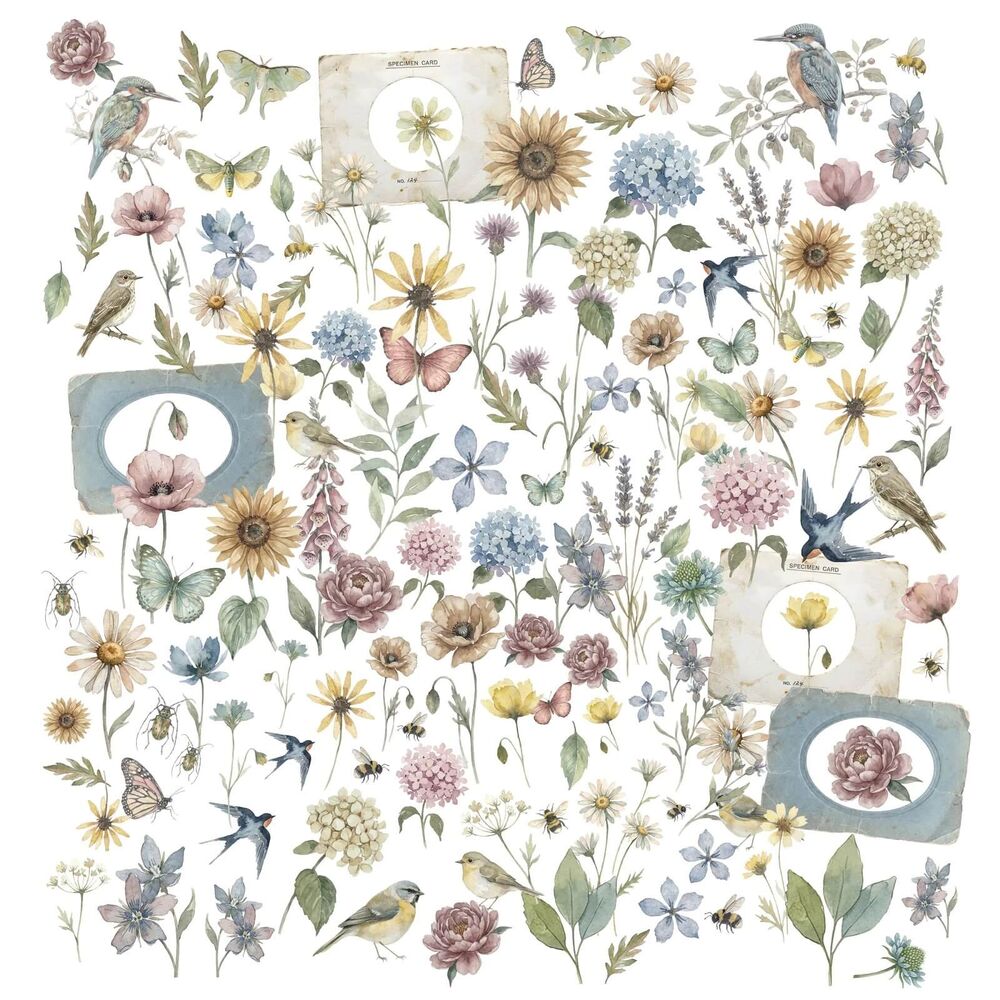 49 And Market Laser Cut Outs - Wildflowers, The Quiet Observer