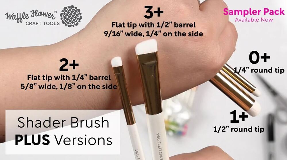Waffle Flower Shader Brush PLUS Sampler (4/pk) WFT045