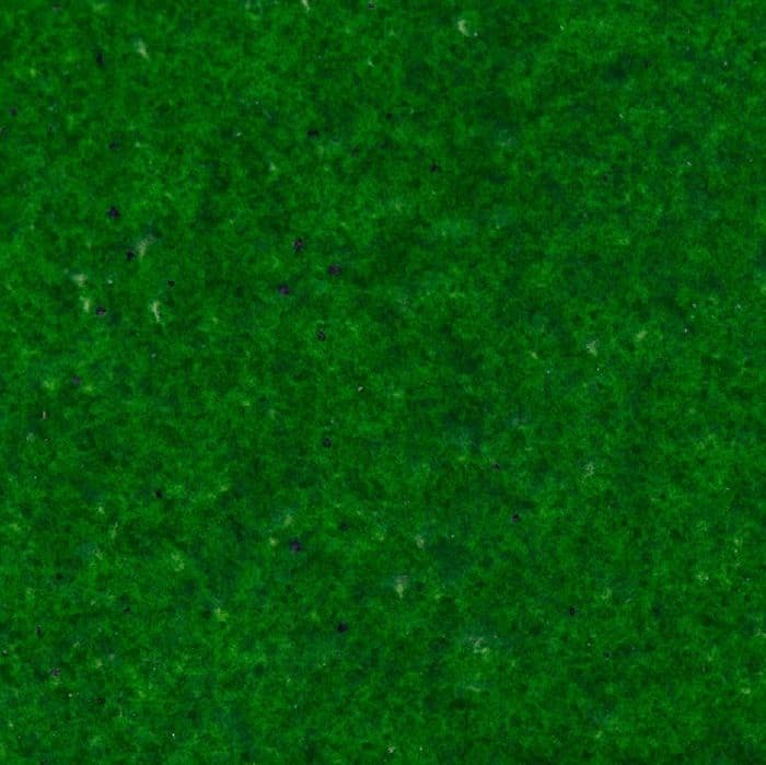 Wow! Embossing Powder Regular 15ml - Evergreen