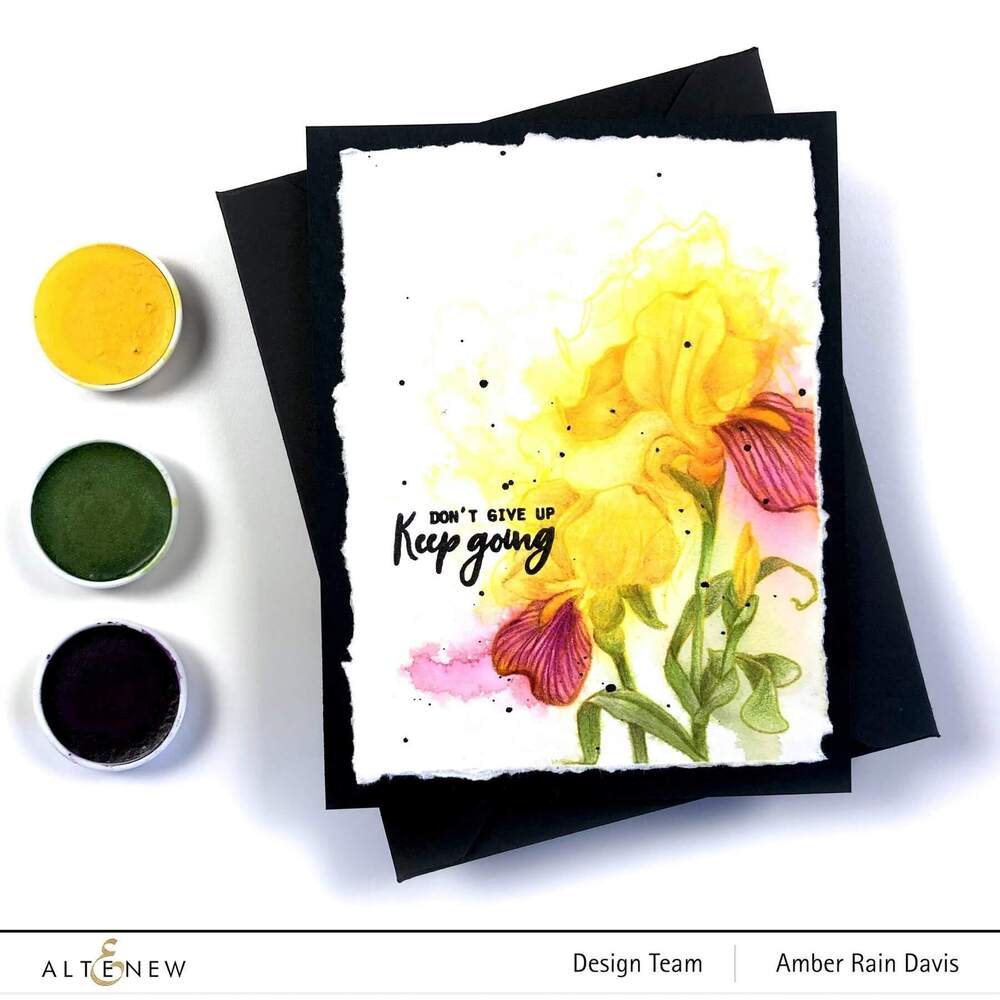 Altenew WATERCOLOR ESSENTIAL 12 PAN SET ALT3531 - Crafties Co.