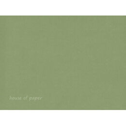 HOP Riviera Olive - Quilling Strips 9mm 50/pk