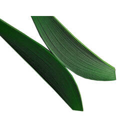 HOP Kaleidoscope Mint - Quilling Strips 3mm 50/pk