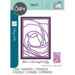 Sizzix Thinlits Die Set 5PK - Belle of the Ball by Stacey Park 666842
