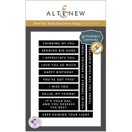 Altenew Press Plate/Foil Plate - One-Go: Solid Sentiment Strips ALT10478