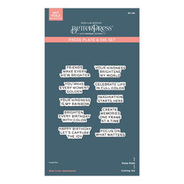 Spellbinders Press Plate & Die Set - Take Note Collection - Reel Color Sentiments BP-296