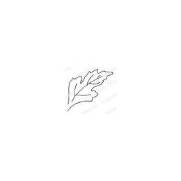 Impression Obsession Cling Stamp - Leaf C20925