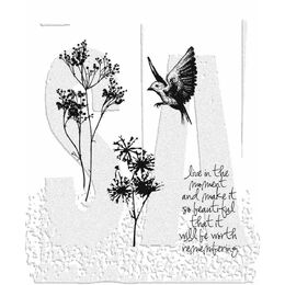 Tim Holtz Stampers Anonymous Cling Mount Stamp - Nature's Moments CMS001