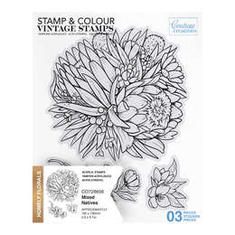 Couture Creations Stamp & Colour - -Mixed Natives Stamp Set (3pc)