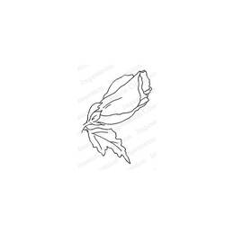 Impression Obsession Cling Stamp - Budding Bloom D20921