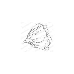 Impression Obsession Cling Stamp - Hibiscus Bloom 1 D20923