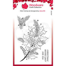 Woodware Clear Stamp Singles - Sketchy Sprigs (4in x 6in)