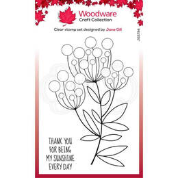 Woodware Clear Stamp Singles Bubble Bloom - Trinny (4in x 6in)