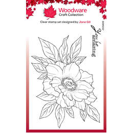 Woodware Clear Stamps - Anemone (4in x 6in)