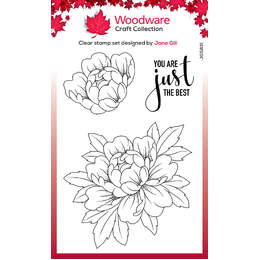 Woodware Clear Stamps - Just The Best (4in x 6in)