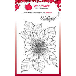 Woodware Clear Stamps - Sunflower Rays (4in x 6in)