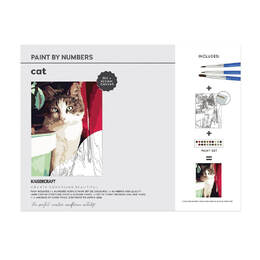 Kaisercraft Paint By Numbers 30x40cm - Cat CA233