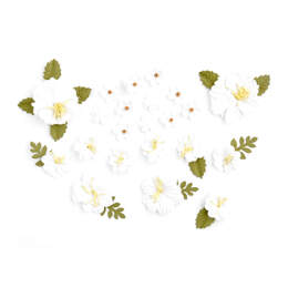 Kaisercraft Handmade Flowers - White F672