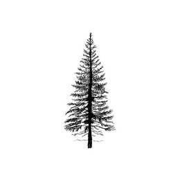 Lavinia Stamps - Fir Tree 1 LAV094