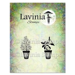 Lavinia Stamps - Dill & Sage Pots LAV939