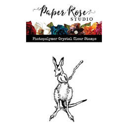Paper Rose Clear Stamp - May Gibbs Kangaroo - Cricket 24505