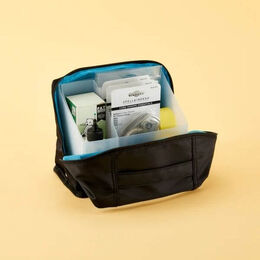 The Organized Option - TOO Tag Along Tote I